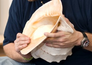 Beautiful Seashell make a great impact on students!
