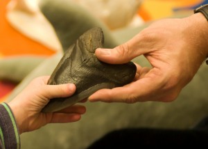 hands on use of marine artifacts, like this megaladon tooth