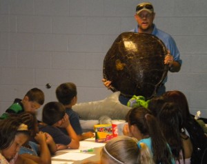Using marine artifacts like a sea turtle shell to teach marine conservation!