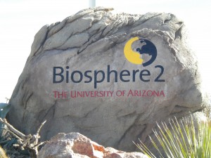 biosphere rock